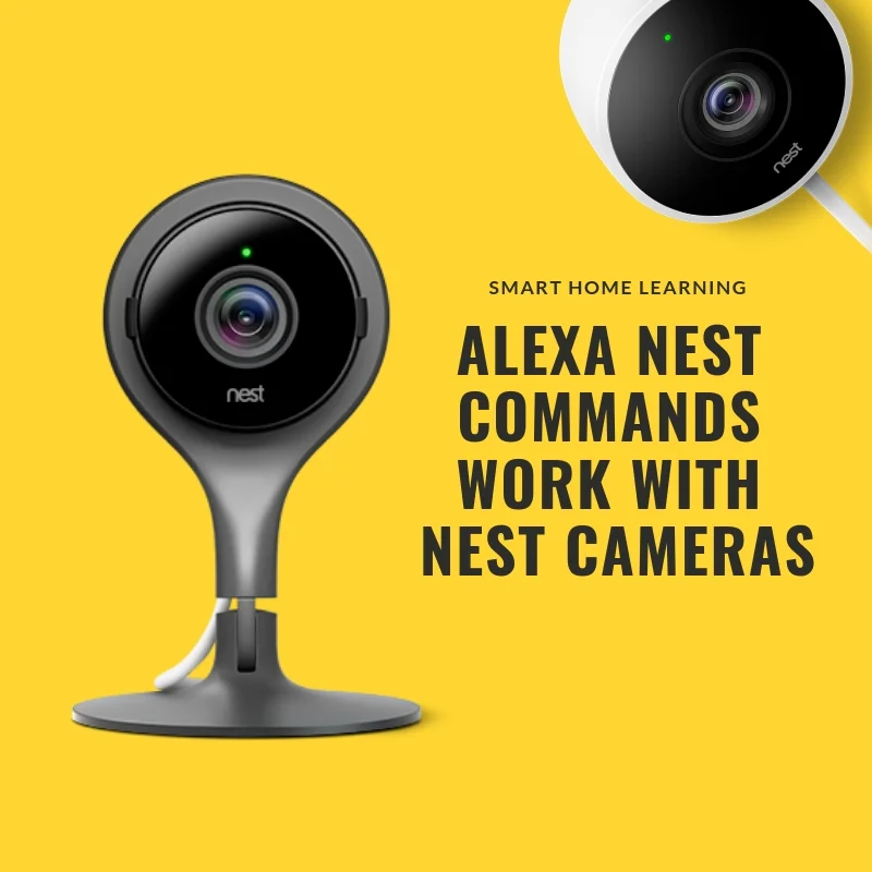 Nest sales security alexa